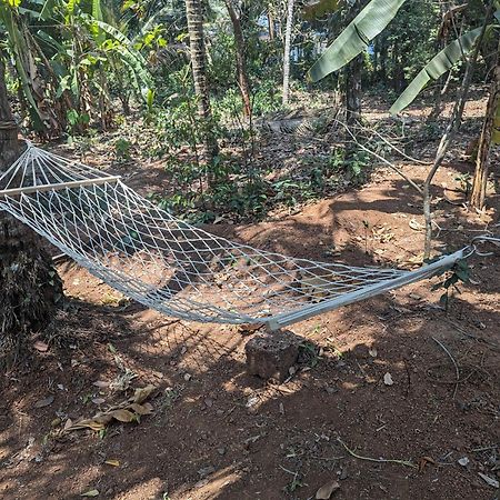 Hill Top Homes Kannur Buitenkant foto