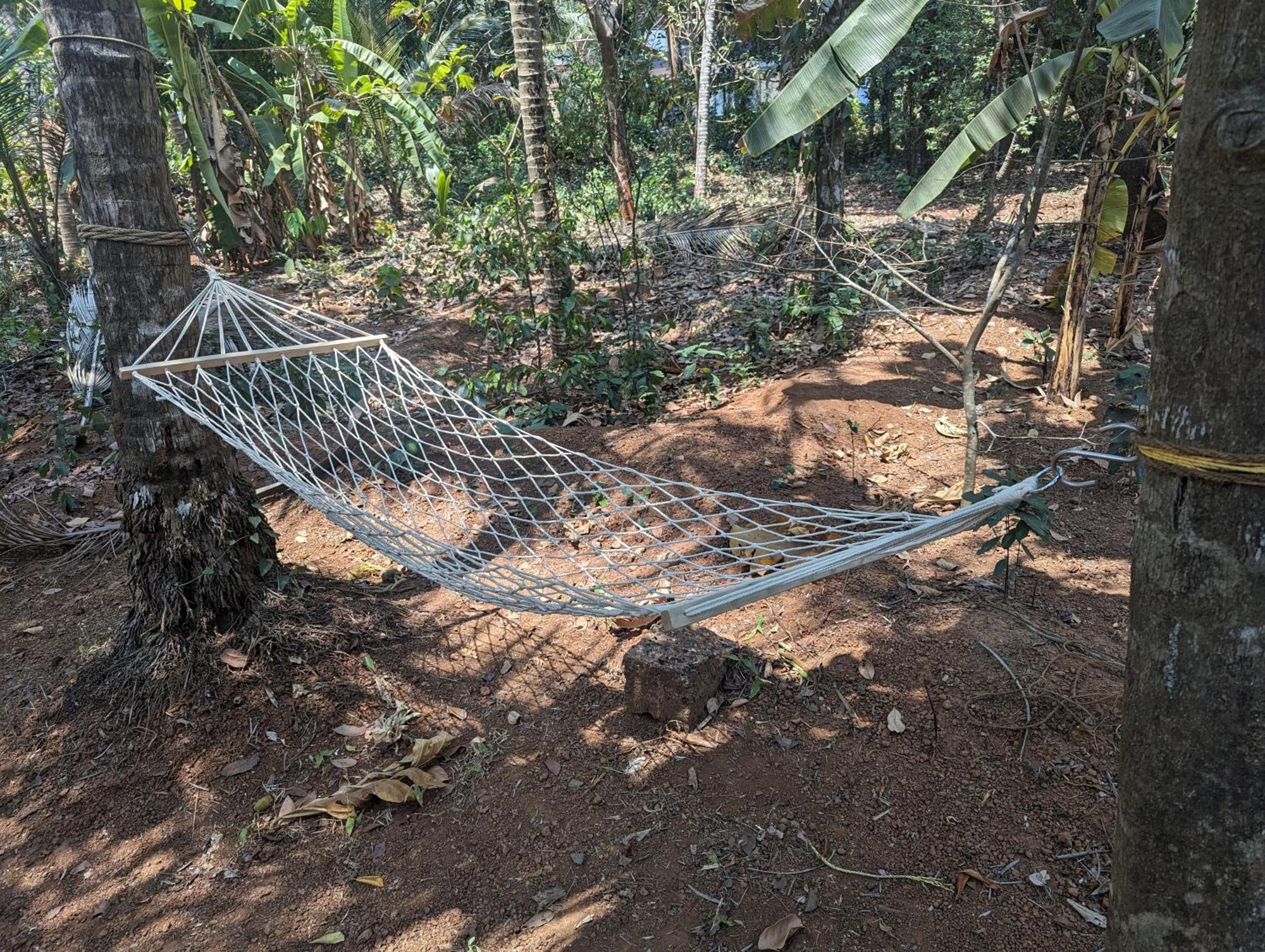 Hill Top Homes Kannur Buitenkant foto